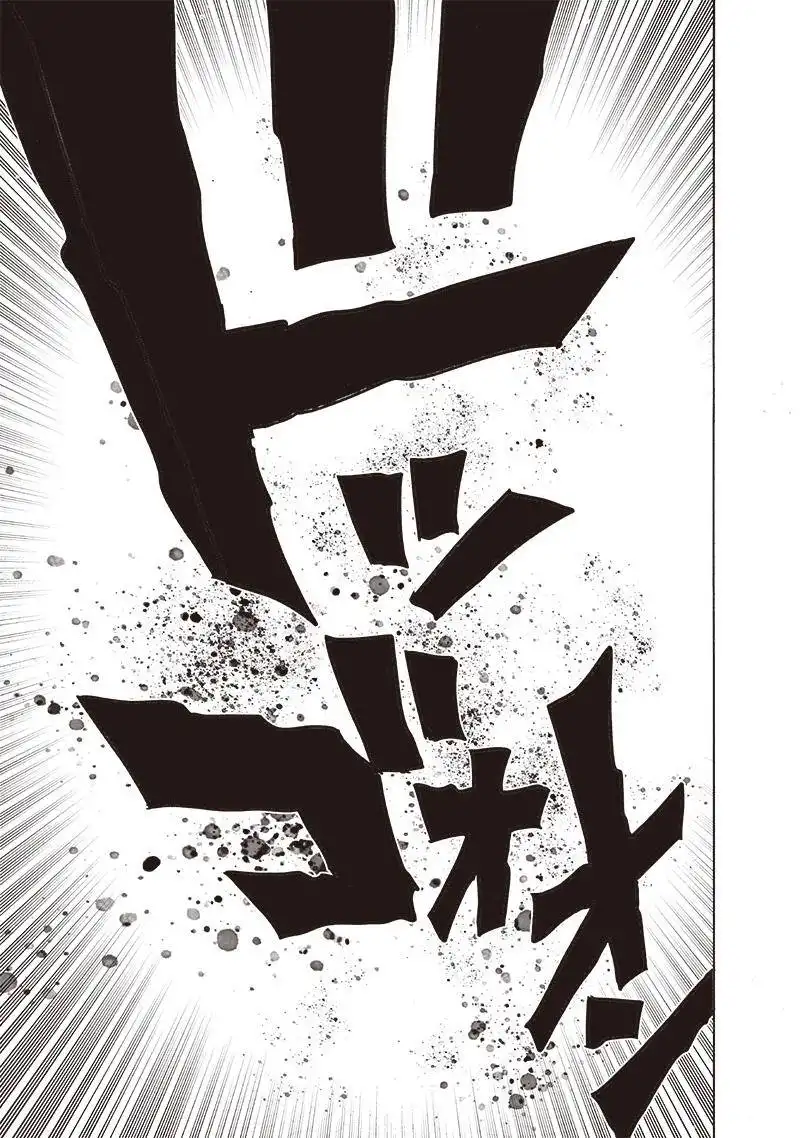 One-Punch Man Chapter 164.1 28